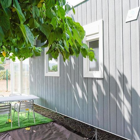 Camping Vila Village Sant Feliu de Buixalleu 外观 照片