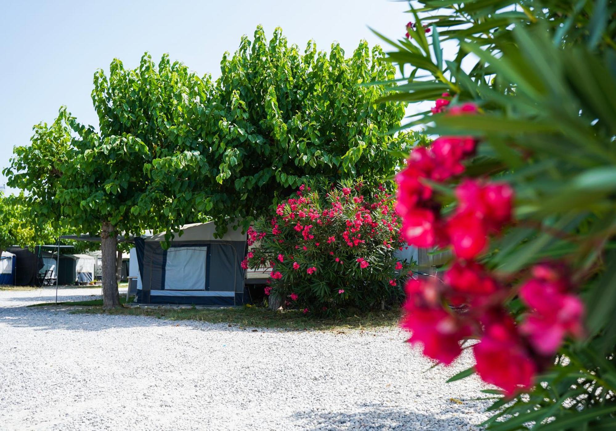 Camping Vila Village Sant Feliu de Buixalleu 外观 照片