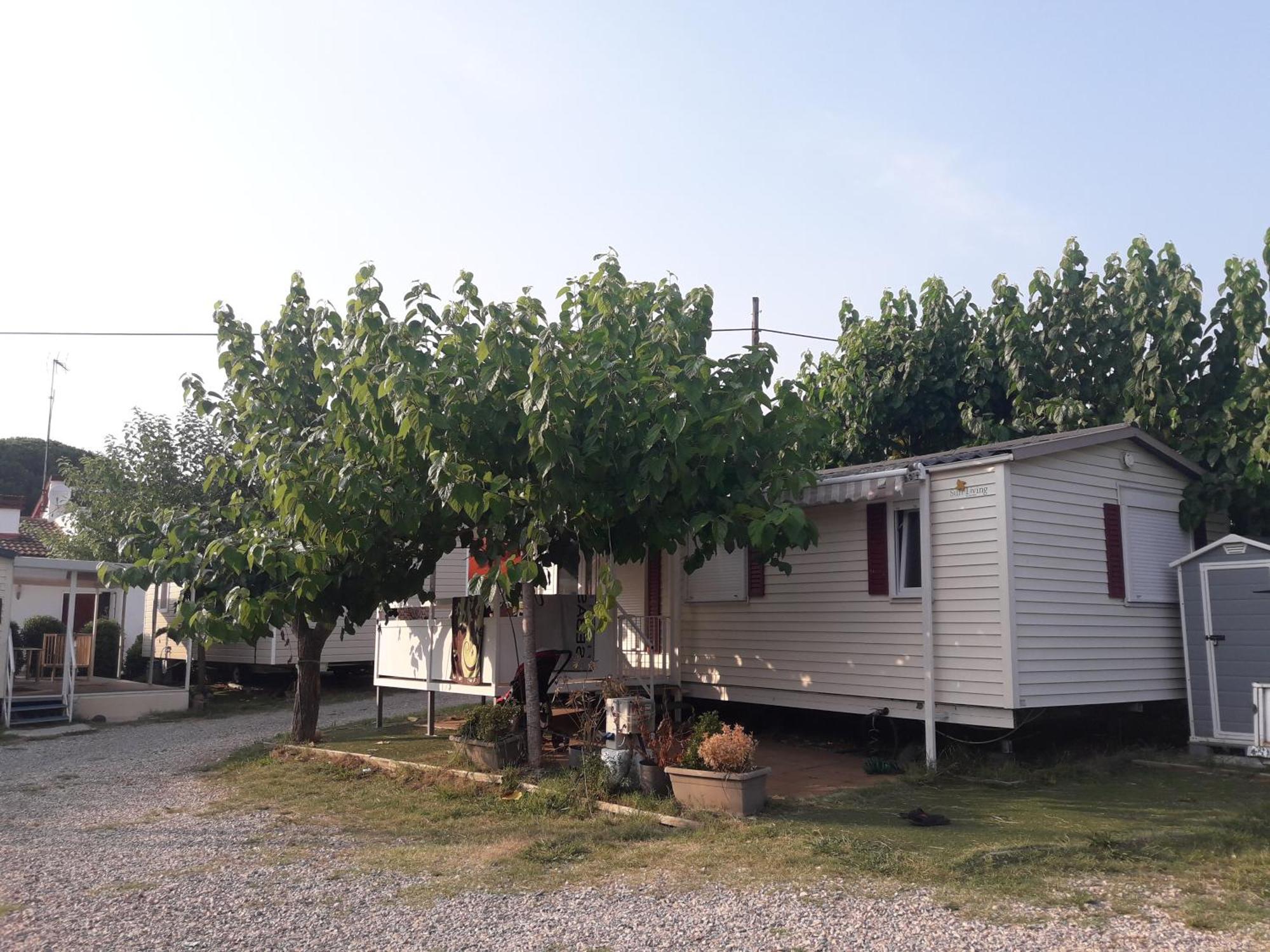 Camping Vila Village Sant Feliu de Buixalleu 外观 照片